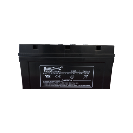 ESB 12V 65AH Lead-acid Battery