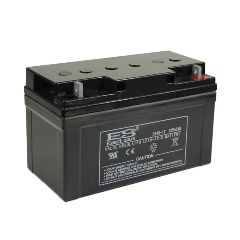 ESB 12V 65AH Lead-acid Battery